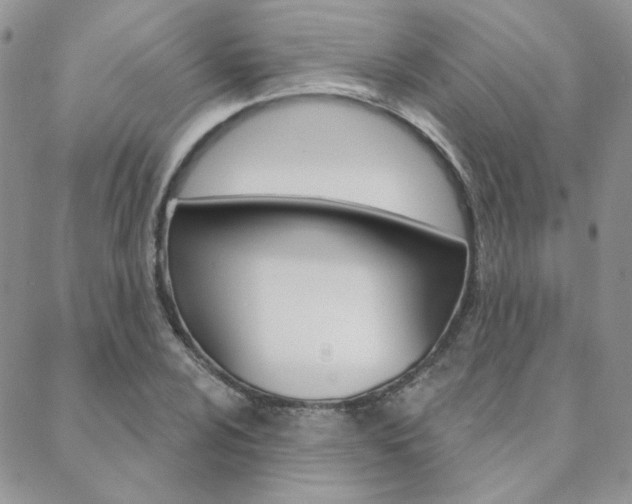 X0000088851024200706080720