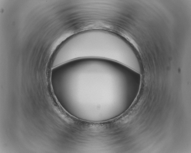X0000088851026200706080720