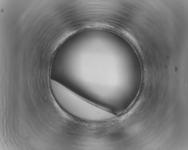 X0000088851041200706080720