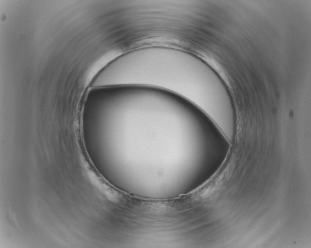 X0000088851042200706080720