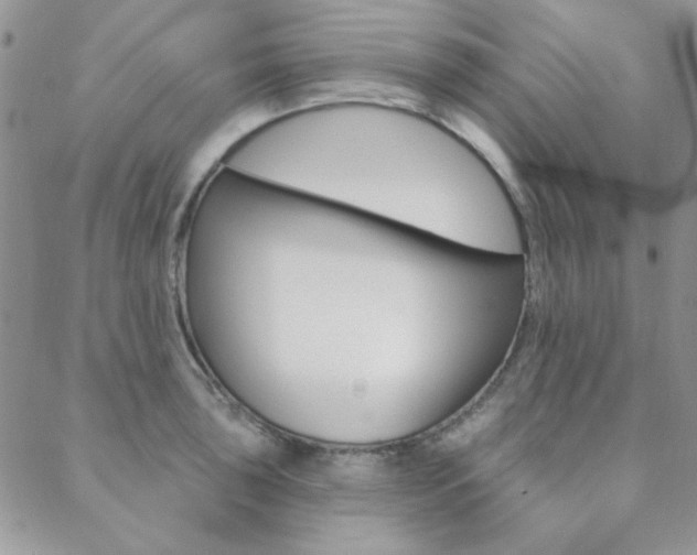 X0000088851043200706080720