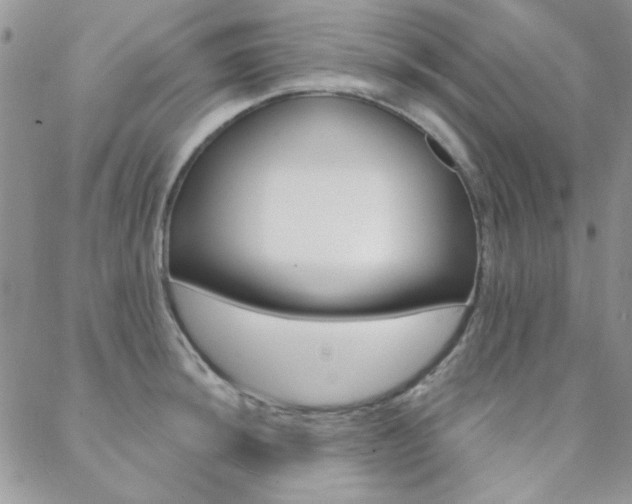 X0000088851044200706080720
