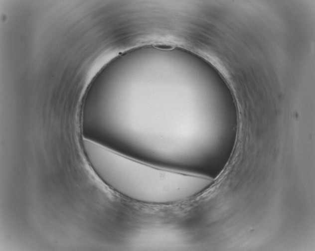 X0000088851056200706080721