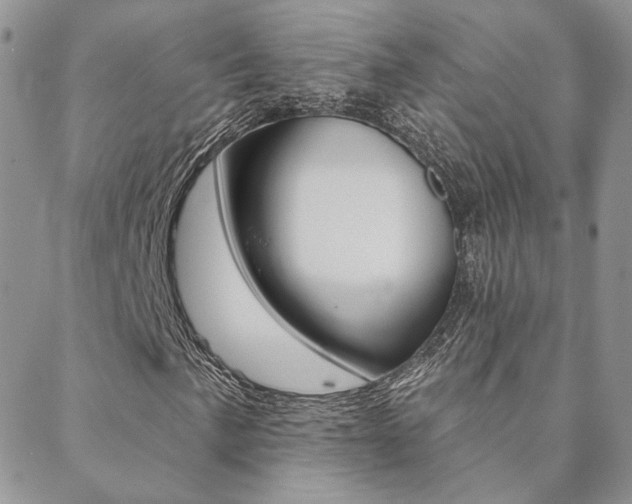 X0000088851057200706080720