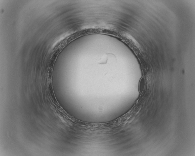 X0000088851064200706080720