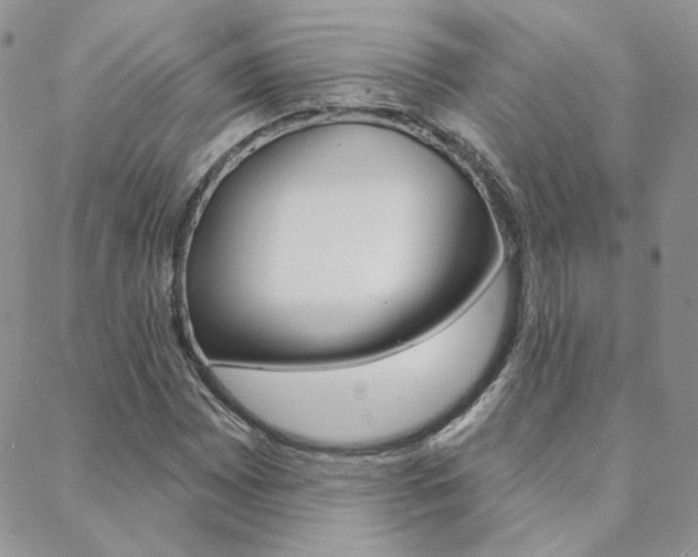 X0000088851065200706080720