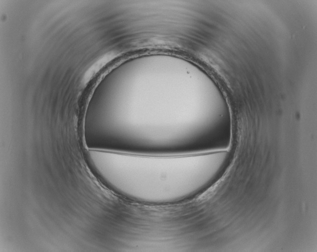 X0000088851066200706080720