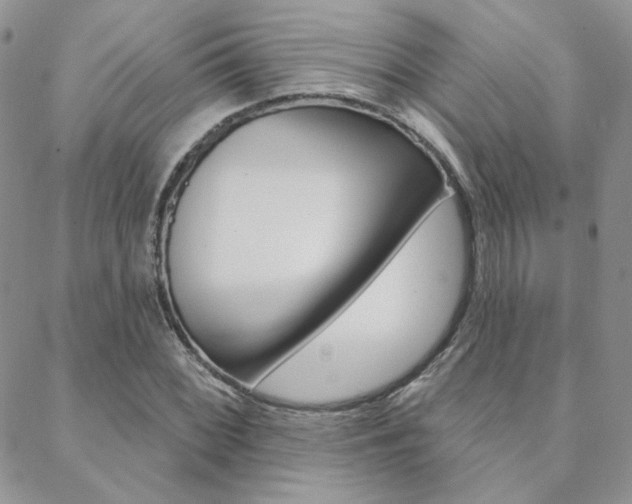 X0000088851068200706080720