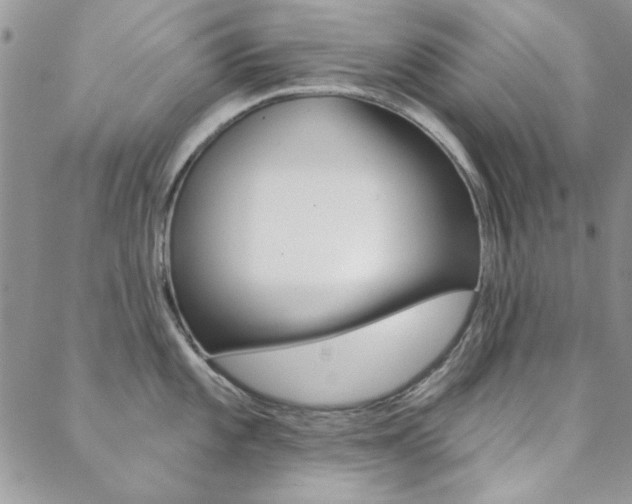 X0000088851101200706080719