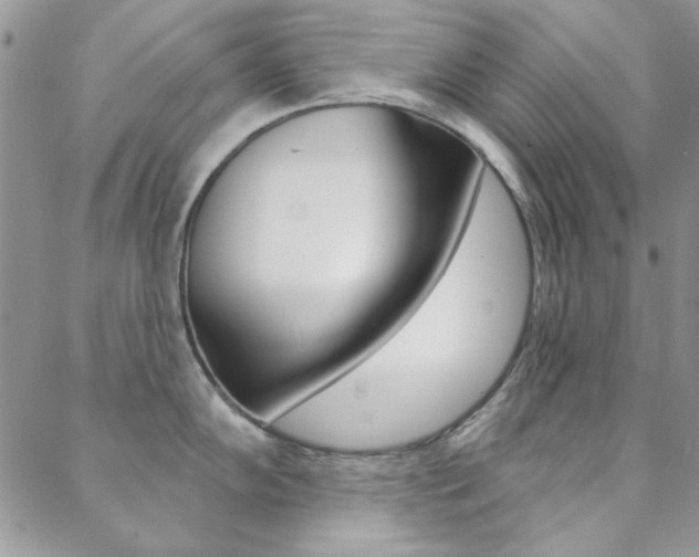 X0000088851102200706080719