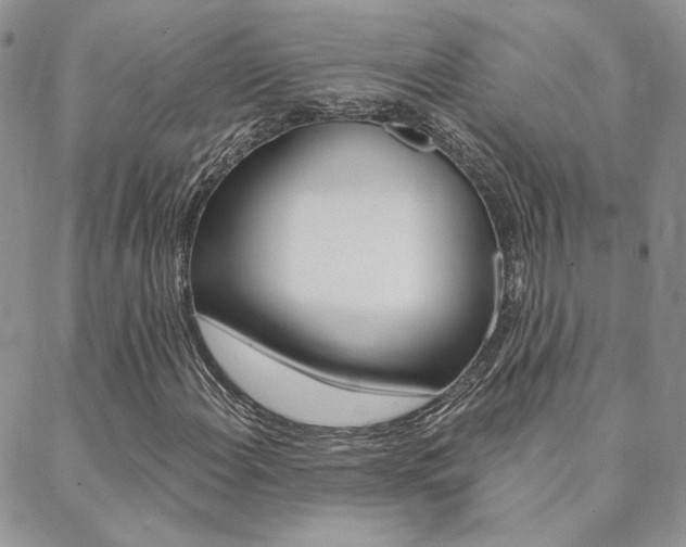 X0000088851108200706080718