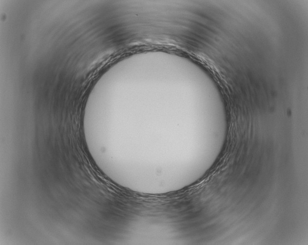 X0000088851110200706080718
