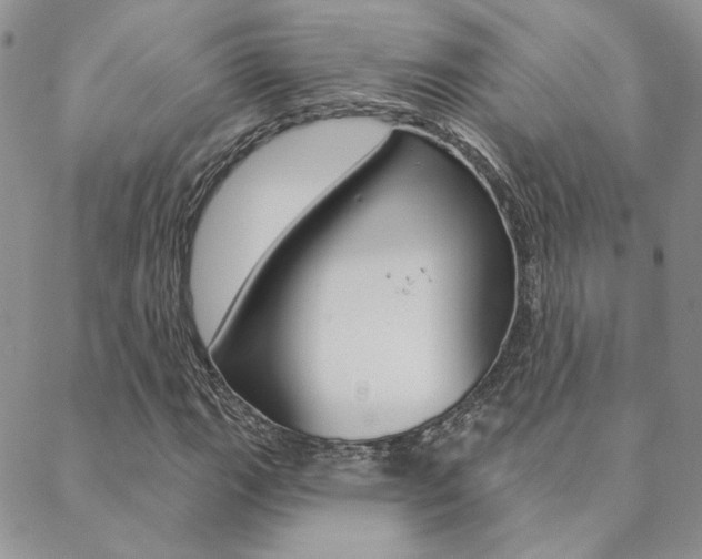 X0000088851111200706080718