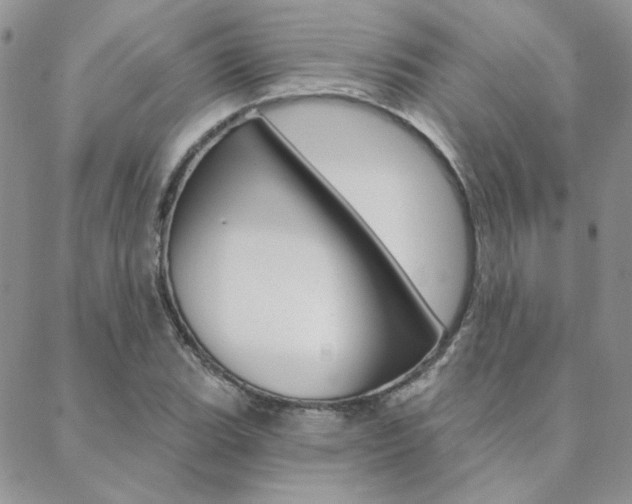 X0000088851119200706080719