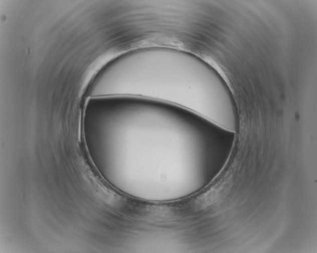 X0000088851123200706080719