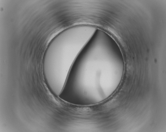 X0000088851129200706080719