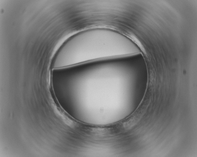 X0000088851132200706080719