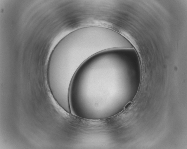 X0000088851152200706080719
