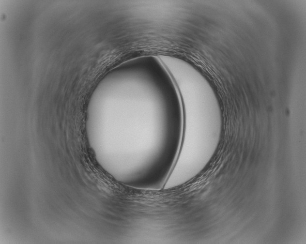 X0000088851153200706080718