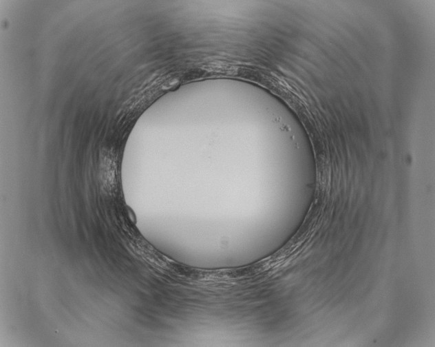 X0000088851154200706080718