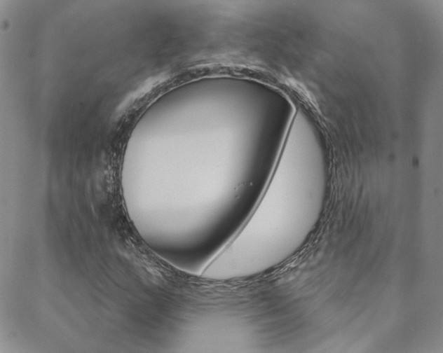 X0000088851159200706080718