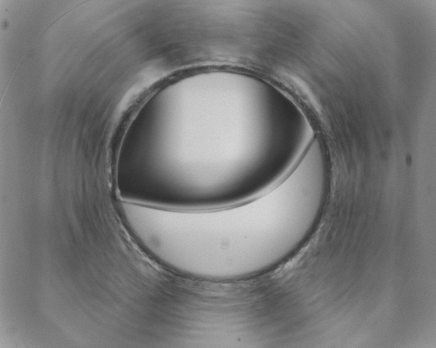 X0000088851172200706080718