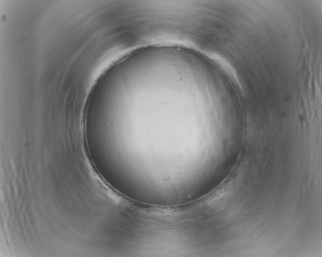 X0000088851191200706080718