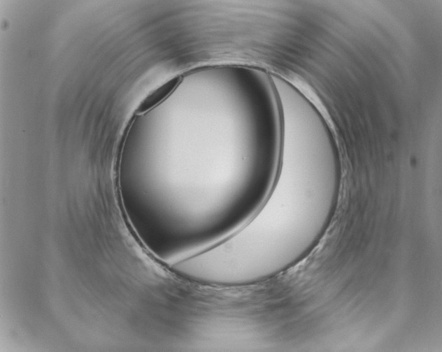 X0000088851197200706080718