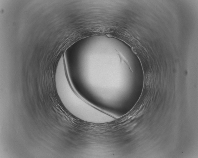 X0000088851202200706080716