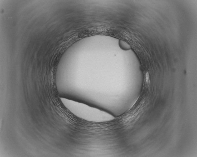 X0000088851203200706080716
