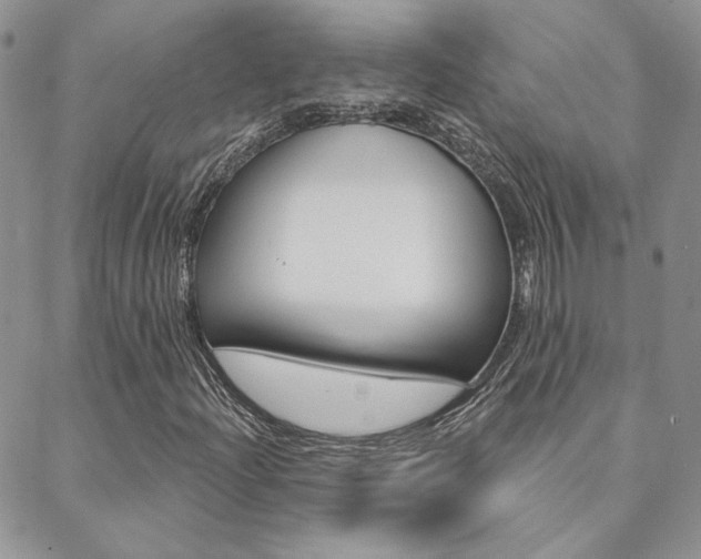 X0000088851204200706080717