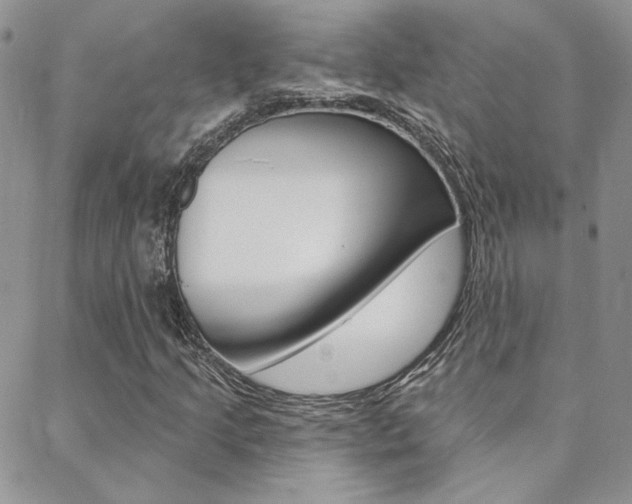 X0000088851205200706080717