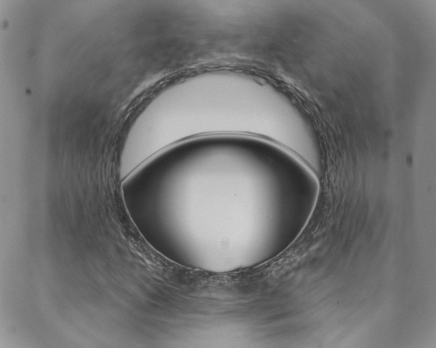 X0000088851206200706080717