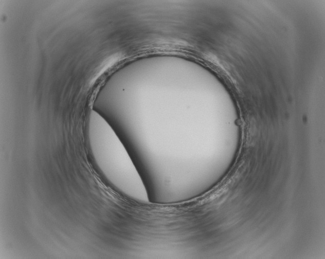 X0000088851211200706080717
