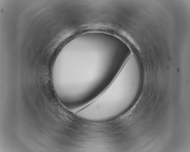X0000088851213200706080717