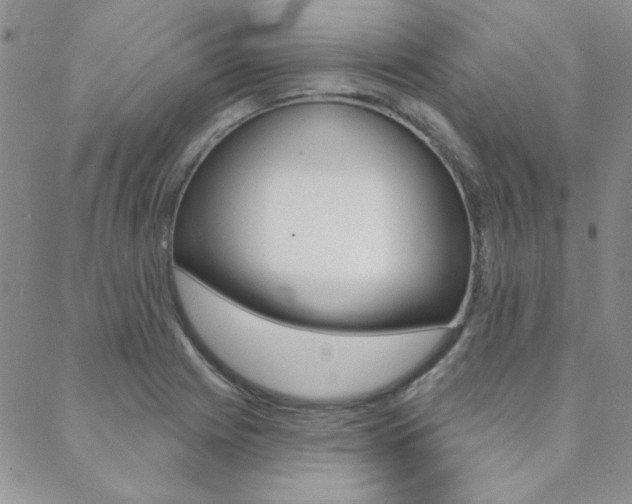 X0000088851225200706080717