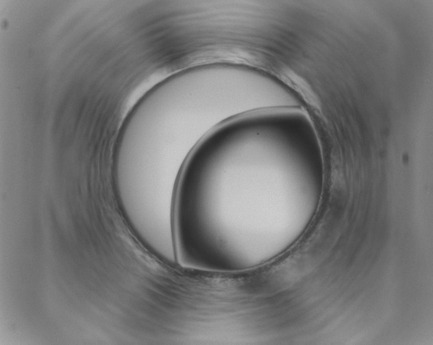 X0000088851226200706080717