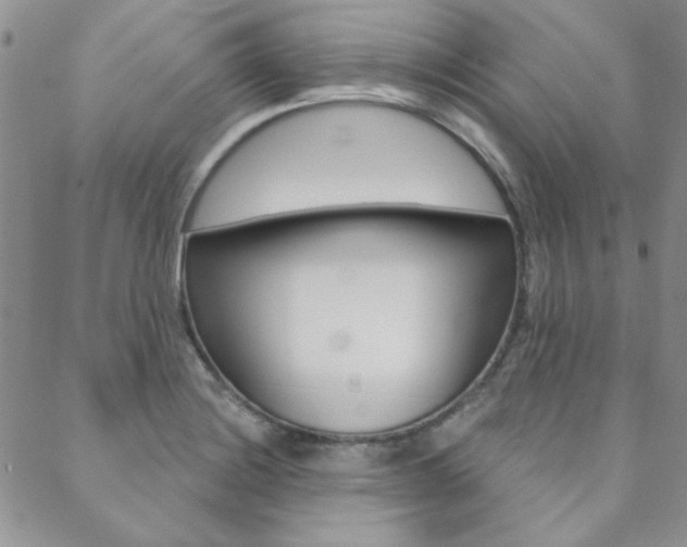 X0000088851228200706080717