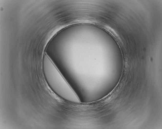 X0000088851236200706080717
