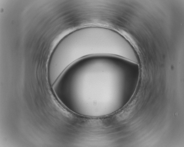 X0000088851238200706080717