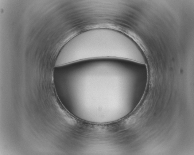 X0000088851241200706080717