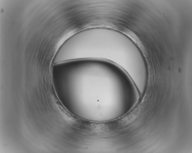 X0000088851242200706080717