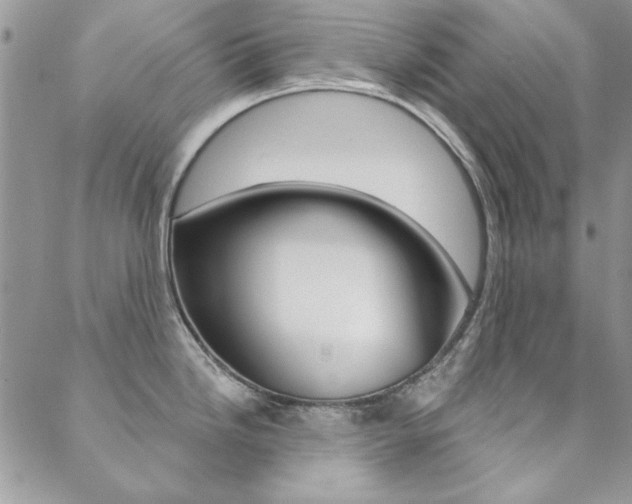 X0000088851246200706080717