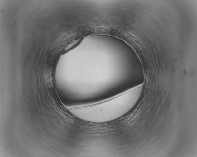 X0000088851252200706080716
