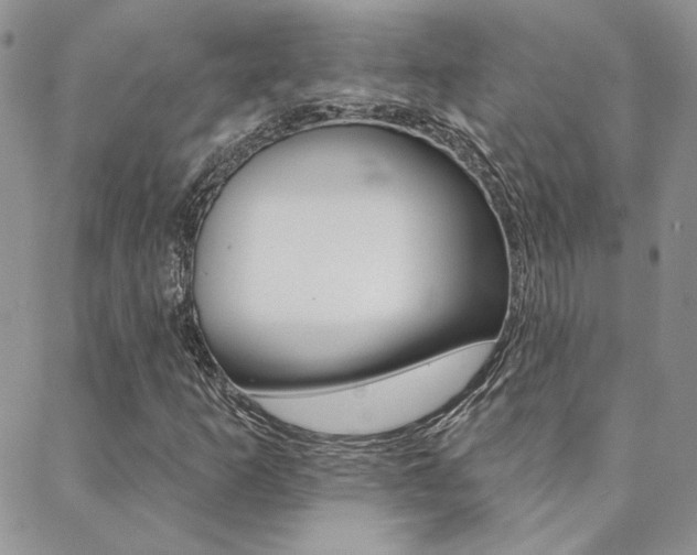 X0000088851253200706080716
