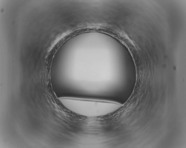 X0000088851256200706080716