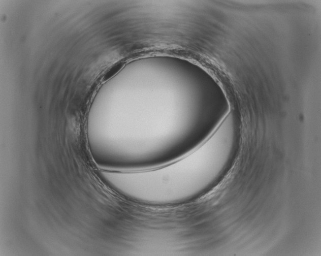X0000088851257200706080716