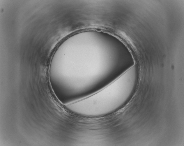 X0000088851260200706080716