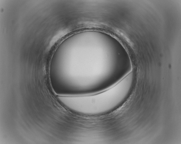 X0000088851261200706080716