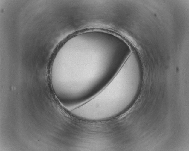 X0000088851264200706080716